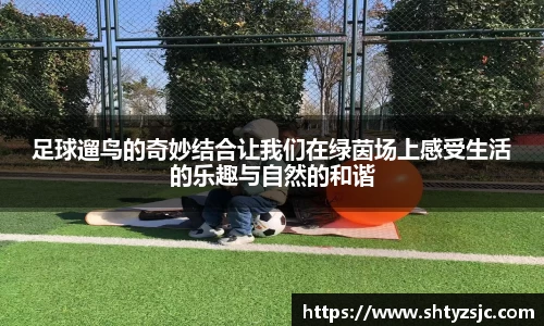 K1体育十年品牌