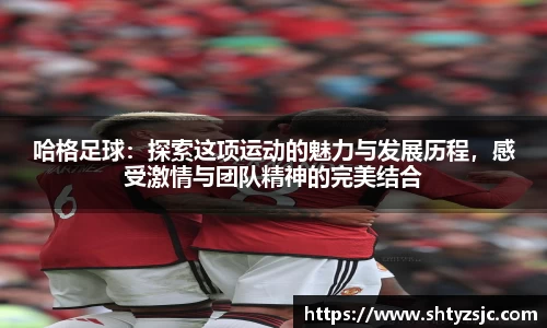 K1体育十年品牌